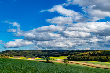 Fototapeta premium Weinberge im Herbst