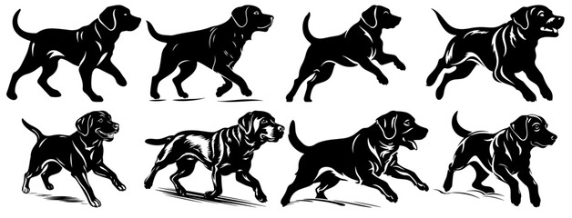 Labrador retriever dog silhouette in different poses - obrazy, fototapety, plakaty