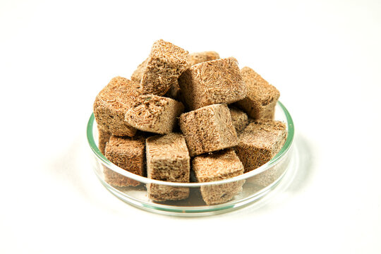 Freeze dried Tubifex closeup, stream tube worms, fish food dry tubifex mudworm