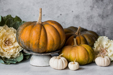 Seasonal autumn food. Fresh pumpkins and decorative cabbage on a gray concrete background. A rich harvest of melons.