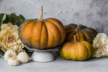 Seasonal autumn food. Fresh pumpkins and decorative cabbage on a gray concrete background. A rich harvest of melons.