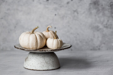 Seasonal autumn food. Fresh pumpkins on a stylish ceramic plate on a gray concrete background. A...