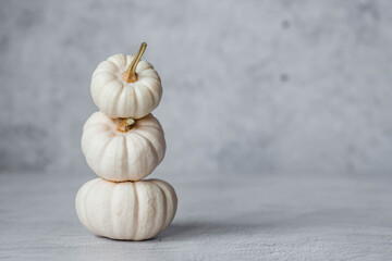 Seasonal autumn food. Fresh pumpkins on a gray concrete background. A rich harvest of melons.
