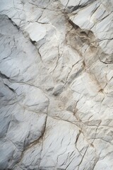 A backdrop featuring the tactile quality of limestone rock