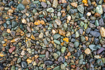 Abstract background of pebbles on the bank of the Katun River in Altai