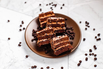 Delicious homemade layered chocolate cake with chocolate chips.