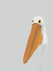 Pelican on grey background. Bird Head Portrait Animal Vector Illustration Image