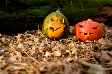 Red and green Halloween pumpkins with malevolent smiles against a dark forest
