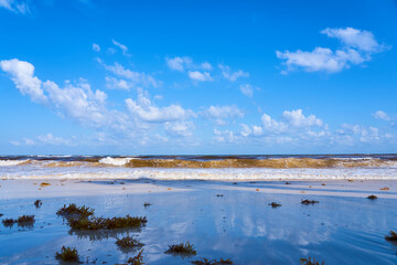 Tropical sandy beach with clear water as a backdrop.