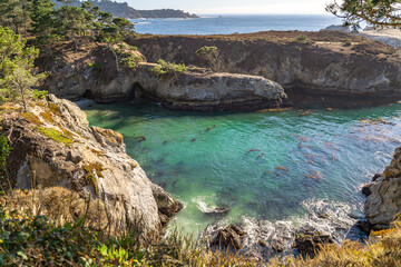 Beautiful view of the turquoise bay, Point Lobos State Natural Reserve