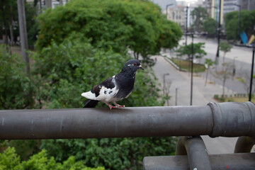 Fototapeta premium architectural photography fotografia de arquitetura paisagem cidades grande 