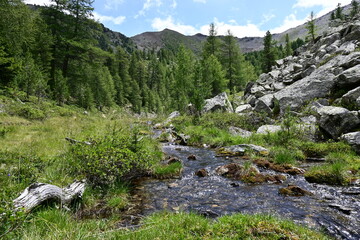 Hiking in the Alps - The lake hike on the Tscharser Nörderberg