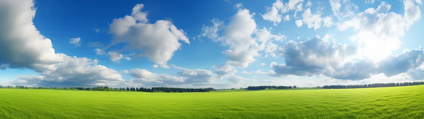 Foto op Plexiglas Ein grünes Feld, Grüne Wiese mit Bäumen und blauem Himmel , Panorama, Texture, Design © Daniel