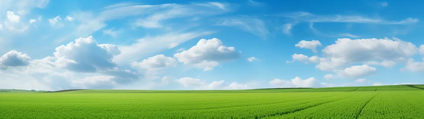 Foto op Canvas Eine grüne Wiese und blauer Himmel , Panorama, Texture, Design © Daniel