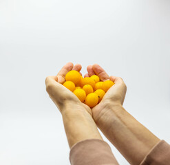 Holding Fresh yellow Cherry tomato or sun gold  isolated on white background