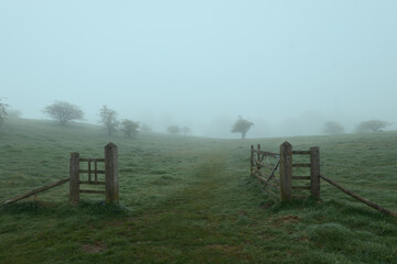 A wooden gate in the countryside and a field covered in fog. Beecraigs Country Park, Scotland. High quality photo