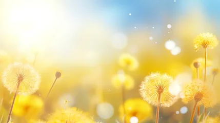 Fotobehang Spring background with flowers and dandelions, blurred bokeh. Generation AI © Terablete