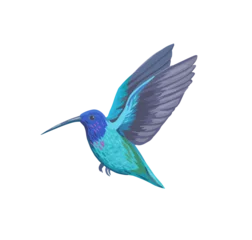 Naadloos Behang Airtex Kolibrie Colorful tropical bird, hummingbird. Hand drawn vector illustration