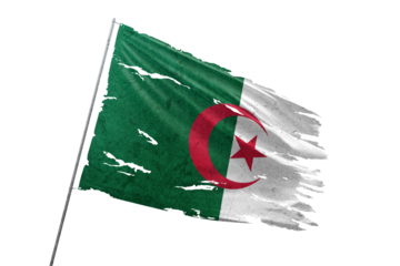 Algeria torn flag on transparent background.