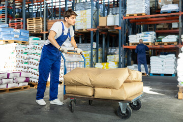 In warehouse rack area of store, stevedore loader young man pushes and carries large cart for bulky cargo