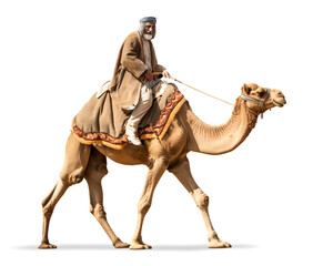 Naklejka premium A cameleer traveler riding a camel, isolated background
