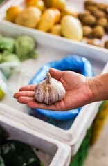 holding garlic with hand in Mexican market place