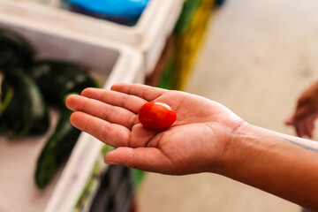 holding red  tomato cherry with hand in Mexican market place