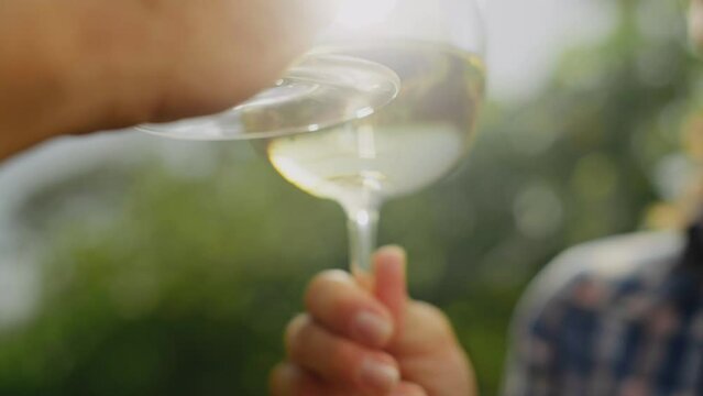 Extreme close-up view of a couple's hands clinking glasses of wine in the Wineyards. Couple enjoying moment