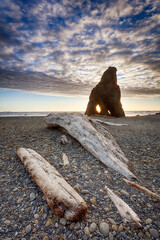 Driftwood and Sea Stack in Olympic National Park