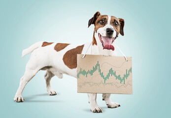 Cool successful funny dog holding statistics and analytics. - obrazy, fototapety, plakaty