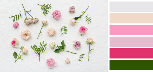 Many beautiful roses on light background. Different color patterns