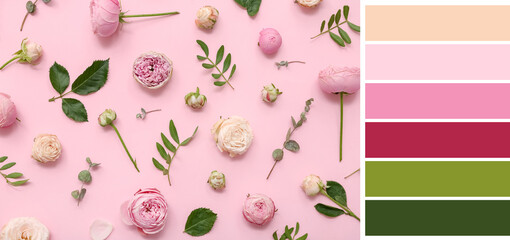 Many beautiful roses on pink background. Different color patterns