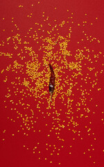 Dried single Chili and Seeds on Red background, chile de arbol mexican spice flat lay