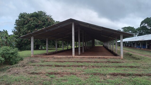 structure for raising chickens, shed