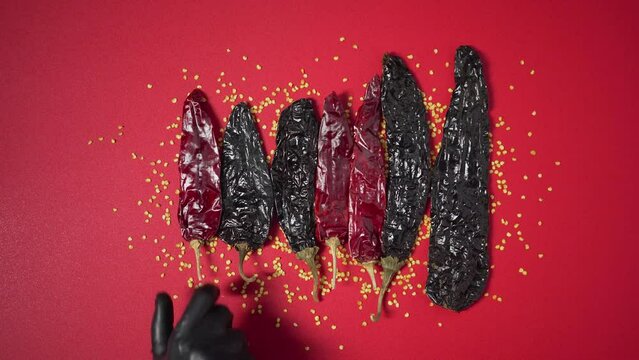 Removing chilies Sorting out mexican dried chili spice and seeds flat lay