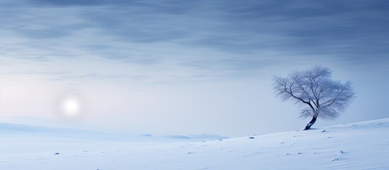 Simple natural winter scene Icy moon over snow covered slope Polar night landscape Bitter cold weather Extreme climate