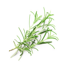 Sprig of fresh rosemary isolated on white, top view