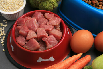 Raw meat in bowl and healthy products for pet on black background, closeup