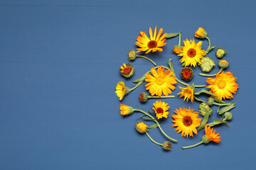 Fresh calendula flowers on blue wooden table, flat lay. Space for text