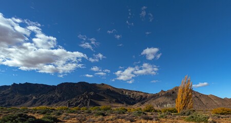 Road RN12 Province of Chubut. The Dinosaur route