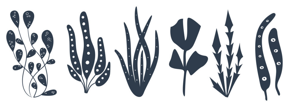 Seaweed. Set of the five plants. Perfect for your design.