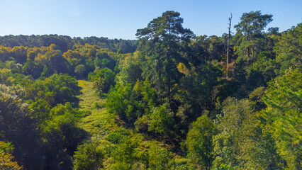 Huntsville State Park photos with HD quality - Texas State Parks, USA