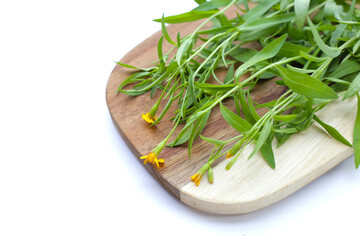 Fresh tarragon on white background.