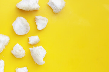 Fresh lion's mane mushroom on yellow background. (Yamabushitake Mushroom)