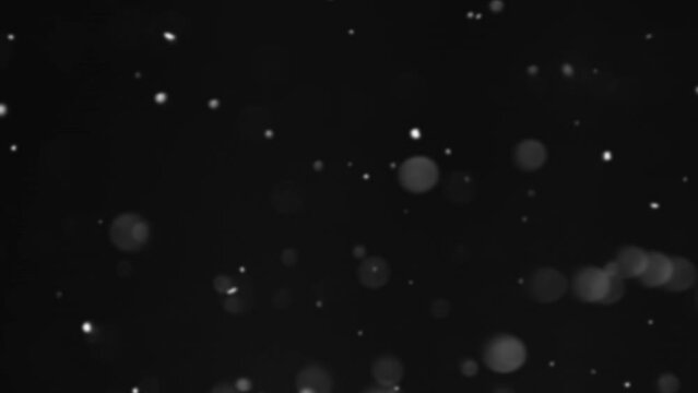 Falling snow. Night blizzard. Blur white flakes flicker flying crystals on black winter sky abstract dark background.