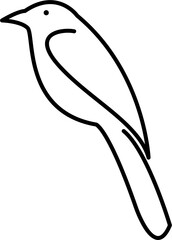 Bird Outline Illustration Isolated Vector