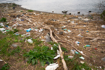 河原に打ち上げられたゴミを写した風景