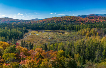 Fototapeta na wymiar Autumn in Mont Tremblant National Park, Quebec, Canada