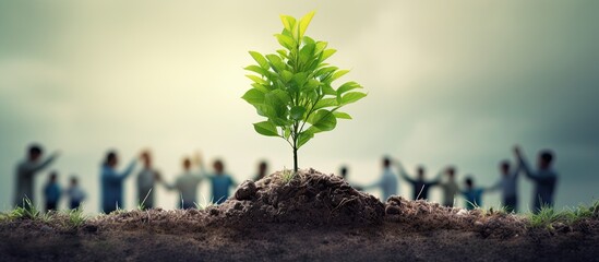 Planting trees on Arbor Day promotes the conservation of nature and a green environment