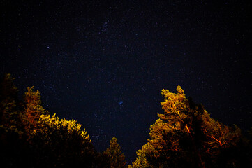 Fototapeta na wymiar The starry sky on a clear night